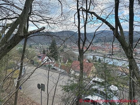 Eberbach Grundstücke, Eberbach Grundstück kaufen