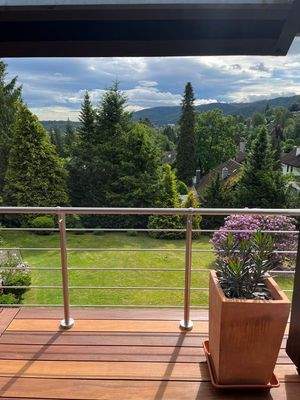 Blick über Bad Harzburg