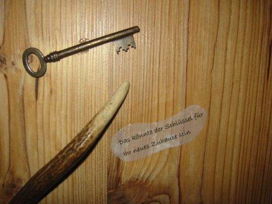 &quot;Weitere Bilder folgen&quot;