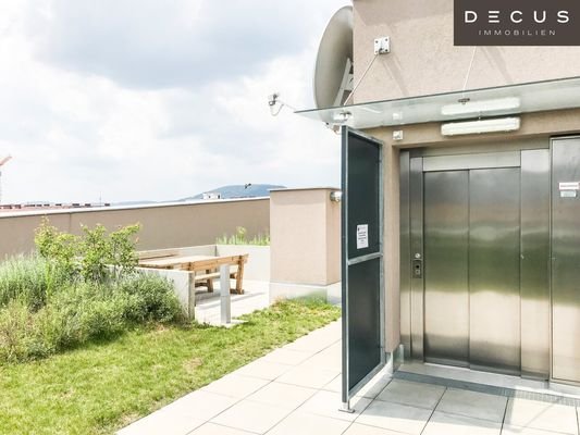 Bild 32