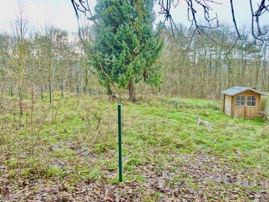 Hinterer Garten-Auslauf 1.jpeg