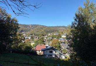 Ausblick