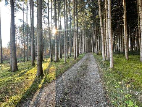 Baiern Grundstücke, Baiern Grundstück kaufen