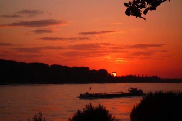Kurzer Fußweg zum Rheinufer 