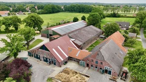 Hesel Bauernhöfe, Landwirtschaft, Hesel Forstwirtschaft