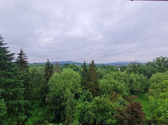 WhatsApp Bild 2024-06-01 um 19.07.17_bf4b8116.jpg