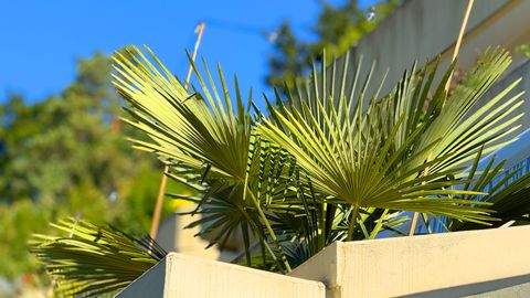 Sigmaringen Wohnungen, Sigmaringen Wohnung kaufen