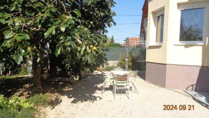 Vorderterasse unterm Kakibaum mit Gartenduche 