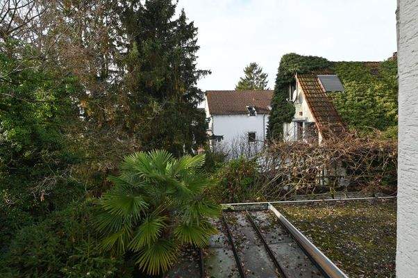... Blick ins Grüne
