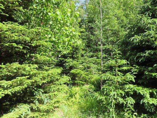 Cape Breton - Bras d`Or Lake - Preiswertes Baugrun