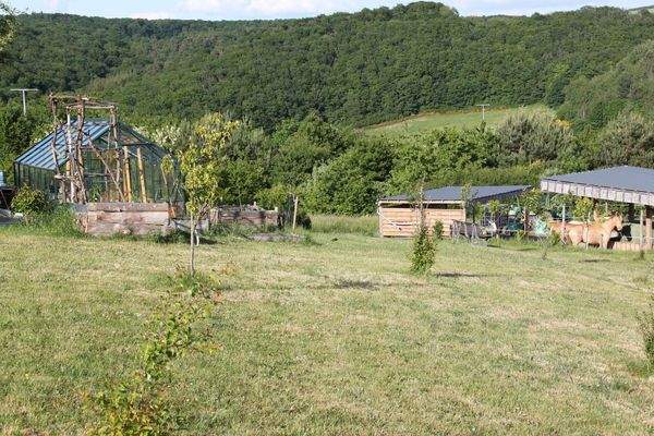 Gewächshaus vor Paddock 2