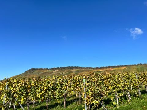 Weinstadt Grundstücke, Weinstadt Grundstück kaufen