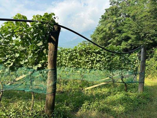 Biodynamische Wiese Kaltern Südtirol kaufen – Biolandwirtschaft Kaltern – biologisches Grünland Südtirol – naturnahe Wiese Kaltern – ökologisches Grundstück Kaltern – landwirtschaftliches Grundstück Südtirol – Agrarland Kaltern – Weidefläche Südtirol – ex