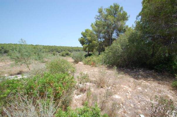 Building plot Sol de Mallorca