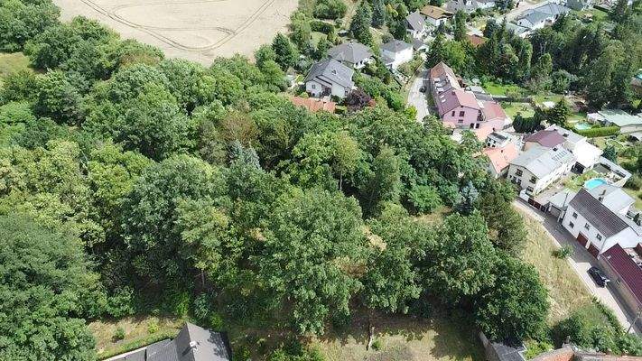 Grundstück mit Baumbestand