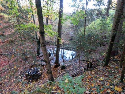 Blick auf die Fischteiche 