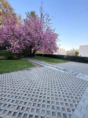 Hauseingänge im Grünen