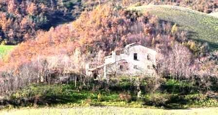 Pesaro Häuser, Pesaro Haus kaufen