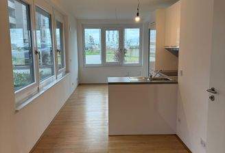 Wohnzimmer mit offener Küche 