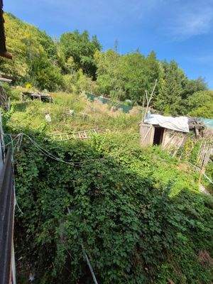 27 Grundstück von Balkon aus.jpg