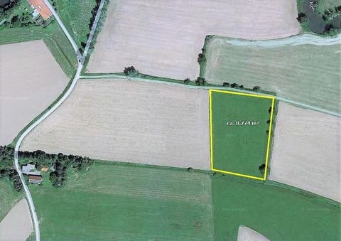 Rattenkirchen Bauernhöfe, Landwirtschaft, Rattenkirchen Forstwirtschaft