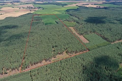 Rohrberg Bauernhöfe, Landwirtschaft, Rohrberg Forstwirtschaft