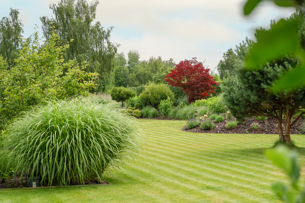 Optionales Baugrundstück