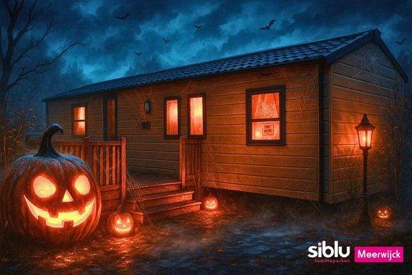 Ferienhaus Kaufen Friesland13