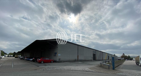 Hamburg Halle, Hamburg Hallenfläche