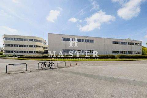 Hamburg Halle, Hamburg Hallenfläche