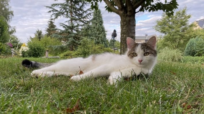 Abhängen im Garten