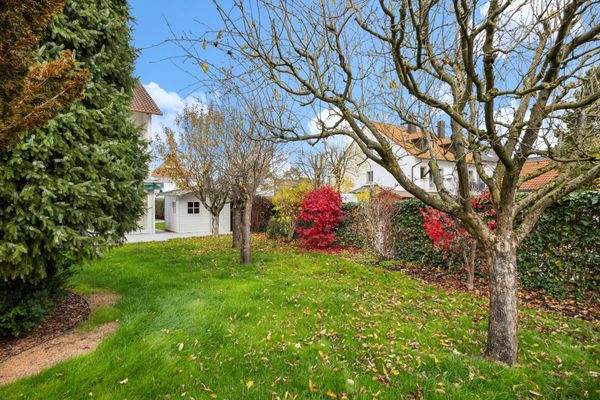 Großer Garten mit Apfelbäumen