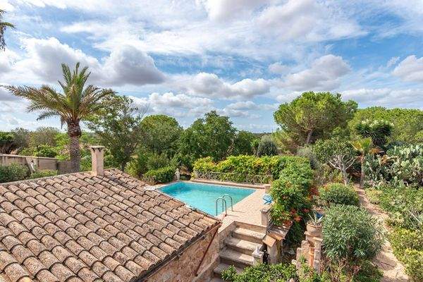 Eingewachsener Garten