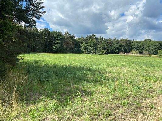 Gartenblick ins Grüne