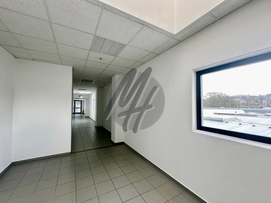 INFOS UNTER: 06171-586000