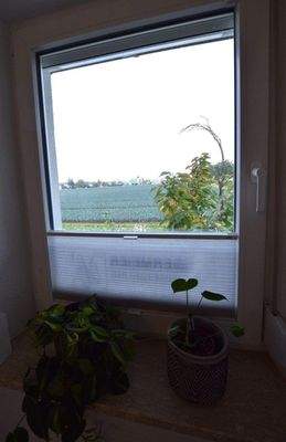 Lage mitten in Gemüsefeldern - hier Ausblick