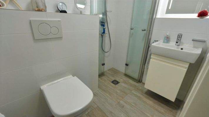 Gäste-WC mit Dusche