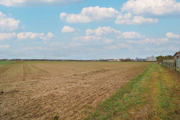 Ansicht Grundstück