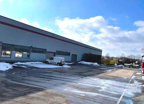 Pfaffenhofen an der Ilm Halle, Pfaffenhofen an der Ilm Hallenfläche