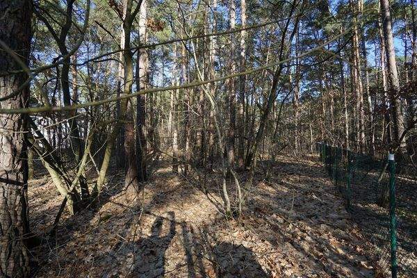 Auf dem Grundstück (5).jpg