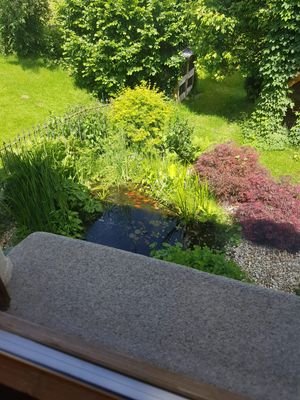 Gartenansicht