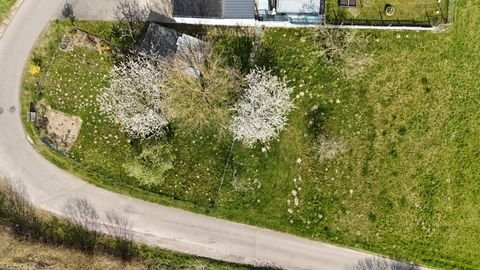 Bad Säckingen Grundstücke, Bad Säckingen Grundstück kaufen