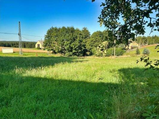 Wiesewiese mit Blick zum Teich