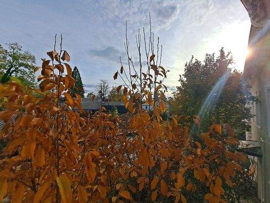 OG: Ausblick von Wohnzimmer 2