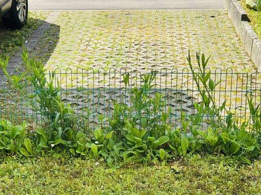 Parkplatz