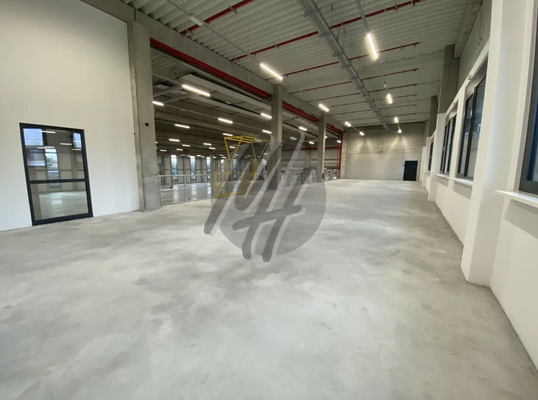 INFOS UNTER: 06171-586000