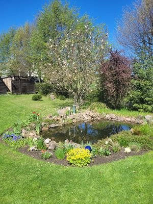 Bild 40 Gartenteich.JPG