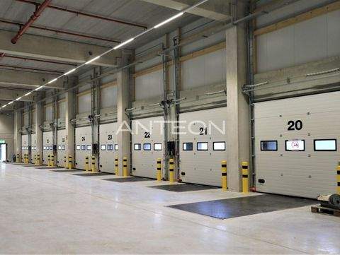 Mönchengladbach Halle, Mönchengladbach Hallenfläche