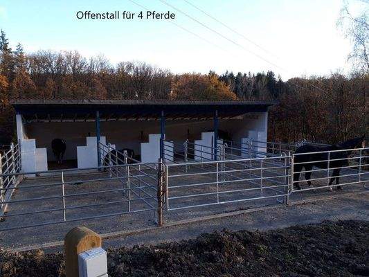 Offenstall  oder Paddock