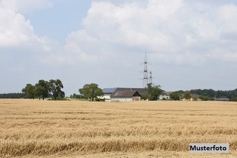 Daubach Häuser, Daubach Haus kaufen